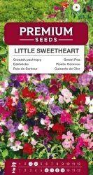 Sweet Pea Little Sweetheart Seed
